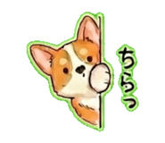 837727144
