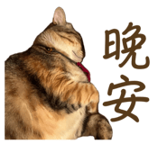 837731605