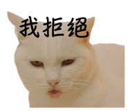 837731608