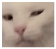 837731611