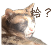 837731612