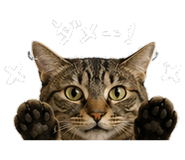 837732574