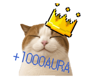 837734906