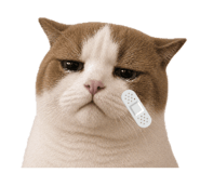 837734908