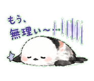 837736962