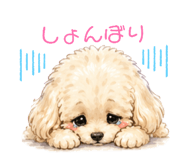 837738657