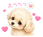837738664