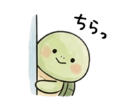 837738675