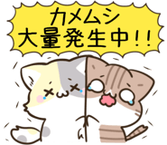 837739807