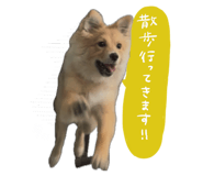 837741202