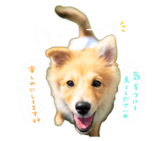 837741206