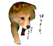 837741215