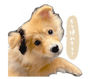 837741223