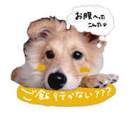 837741224