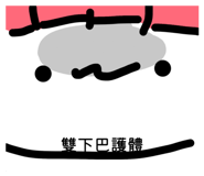 837750798
