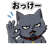 837753807