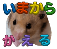 837754146