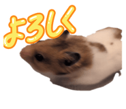 837754149