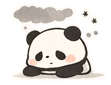837755675