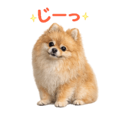 837756875
