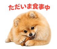 837756877