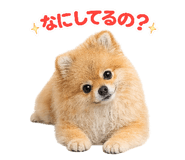 837756878