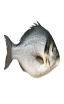 837758274