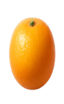 837758284