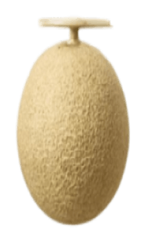 837758286