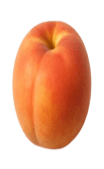 837758287