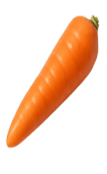 837758294