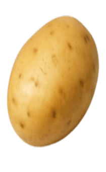 837758297