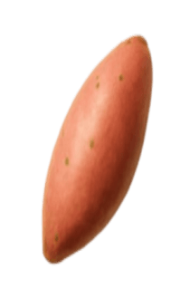 837758298
