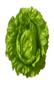 837758302