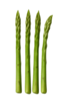 837758308