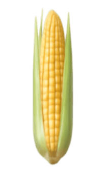 837758310