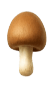 837758311