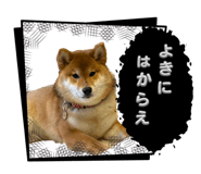 837759188