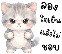 แมวเหมียวน่ารัก 100% รูปที่ 39