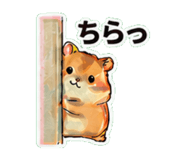 837761124