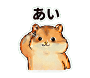 837761125