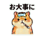 837761133