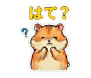 837761134