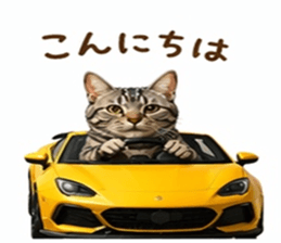 837763755