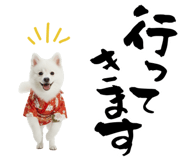 837764331