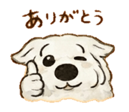 837764514