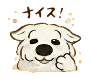 837764516