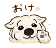 837764518