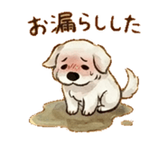 837764520