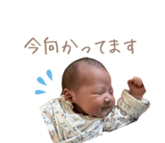 837766701